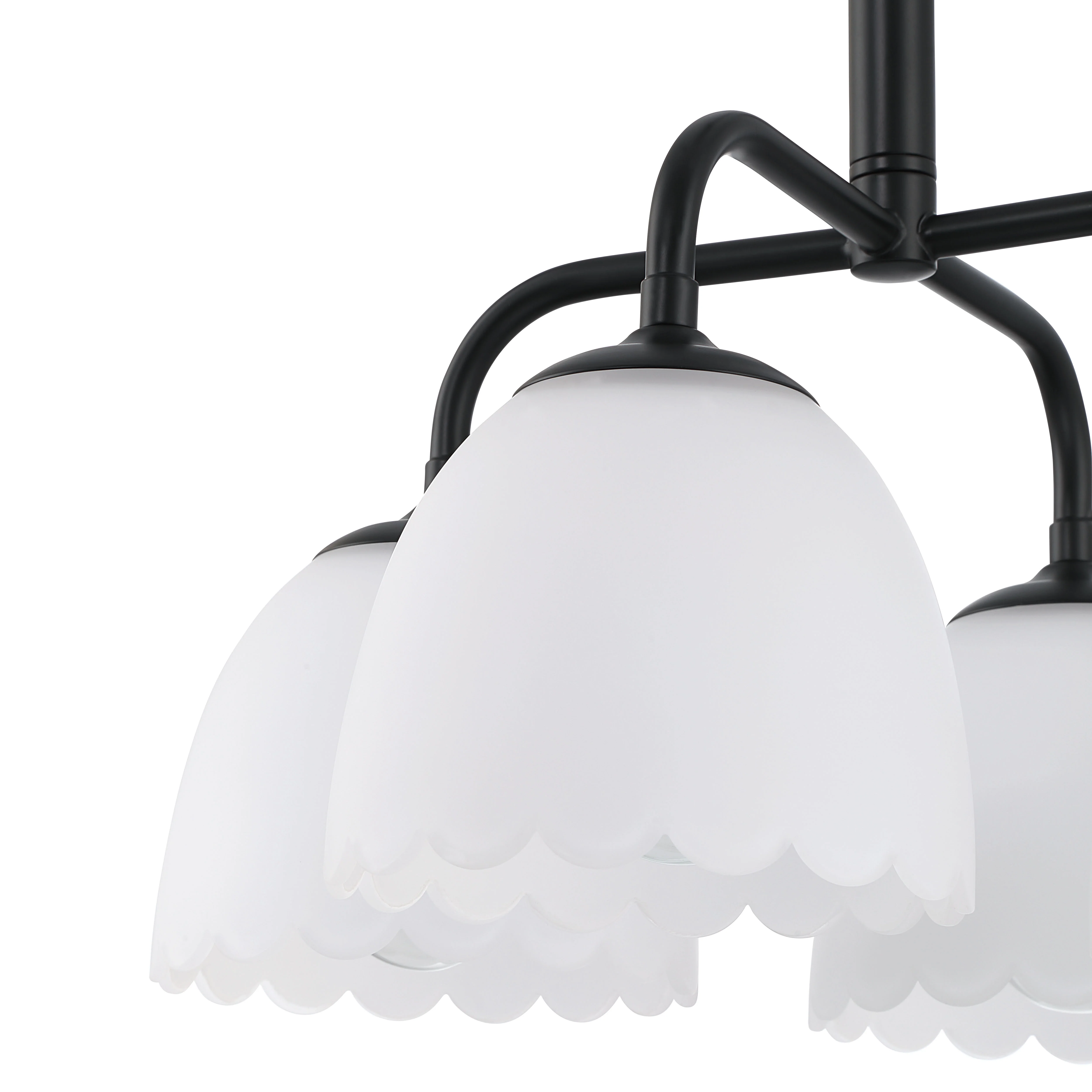 Dorinda 4-light Pendant in Matte Black - Image 6