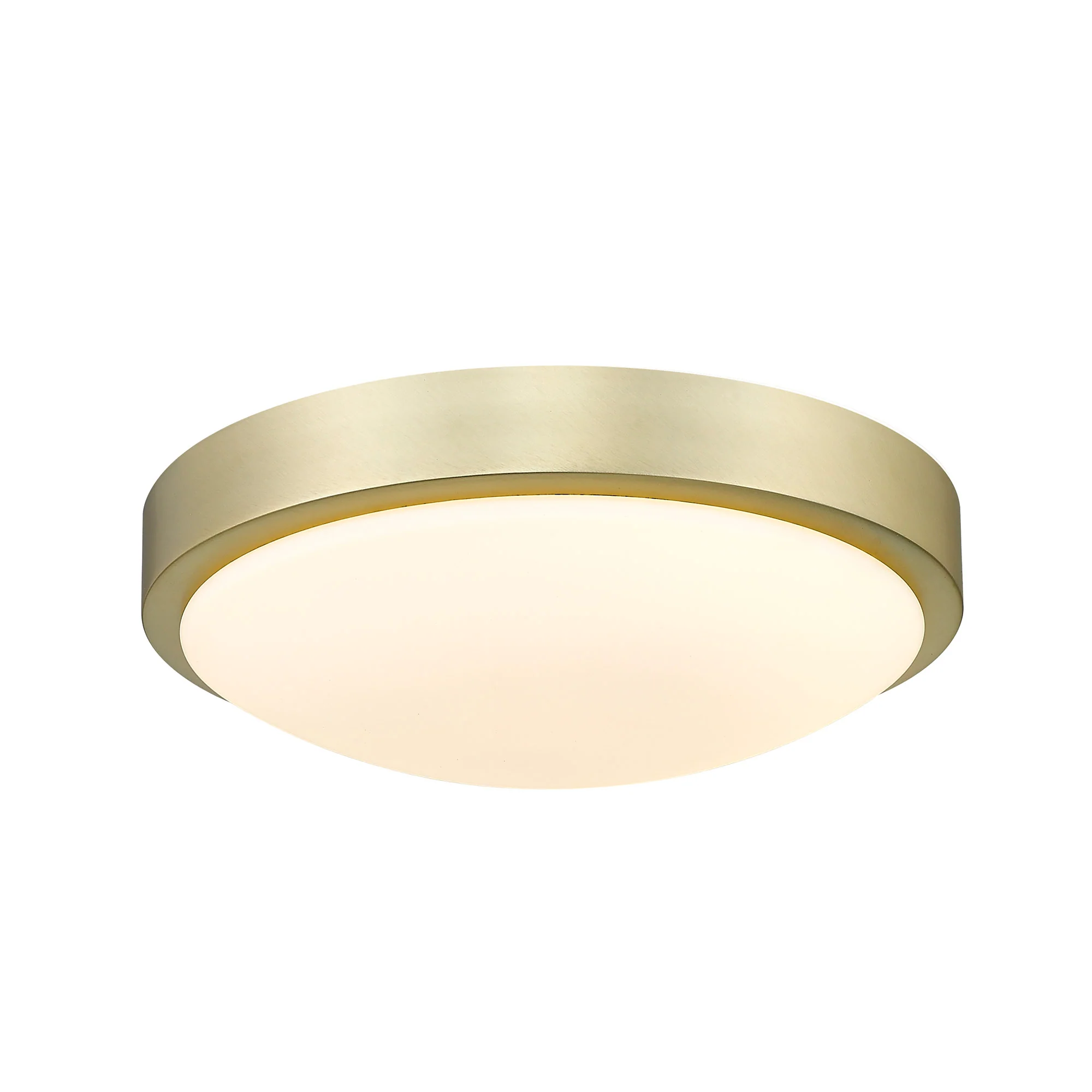 Gabi Integrated LED 10in Flush Mount in Brushed Champagne Brass