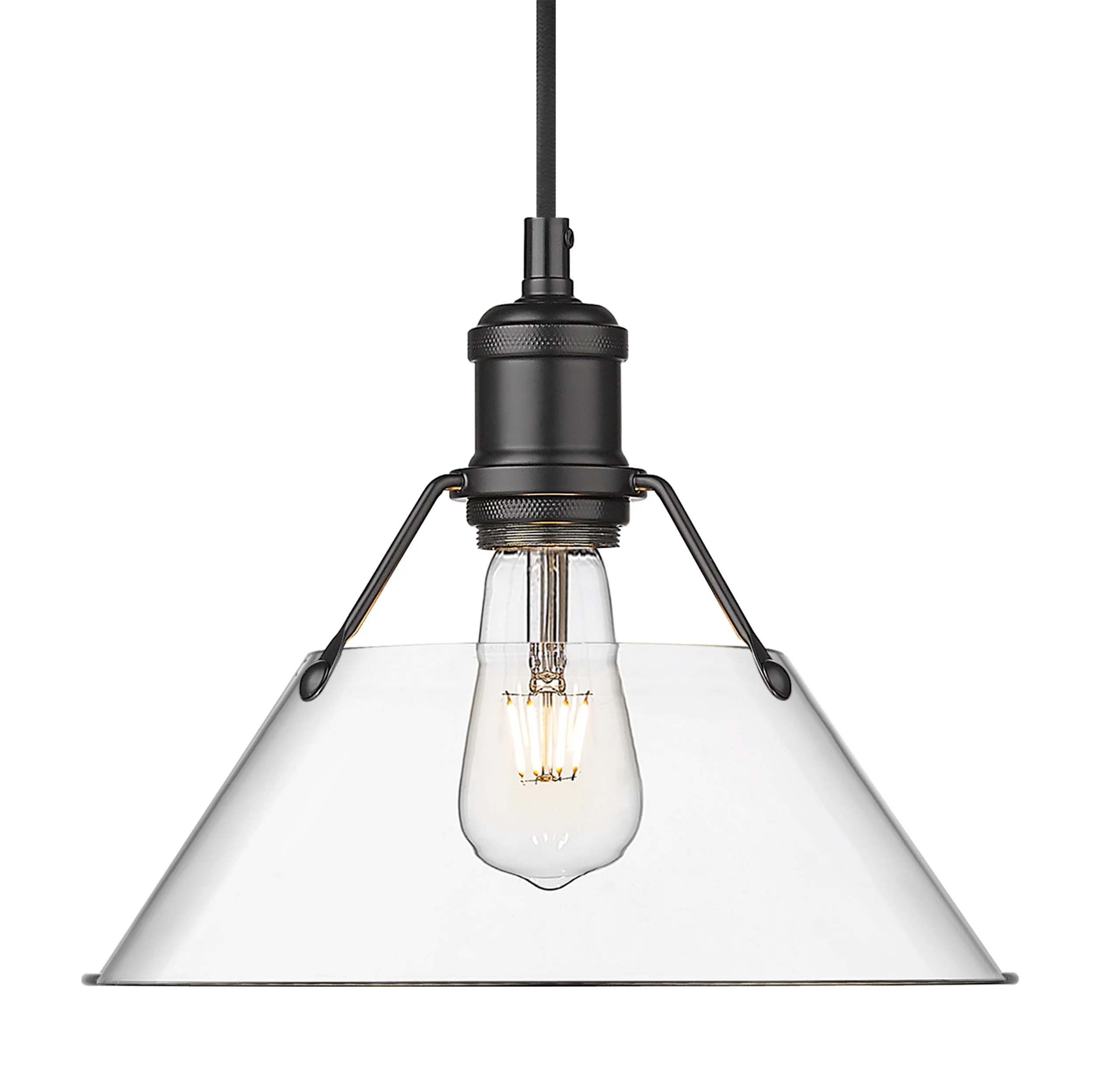 Orwell 1-light 10in Pendant in Matte Black and Clear Glass