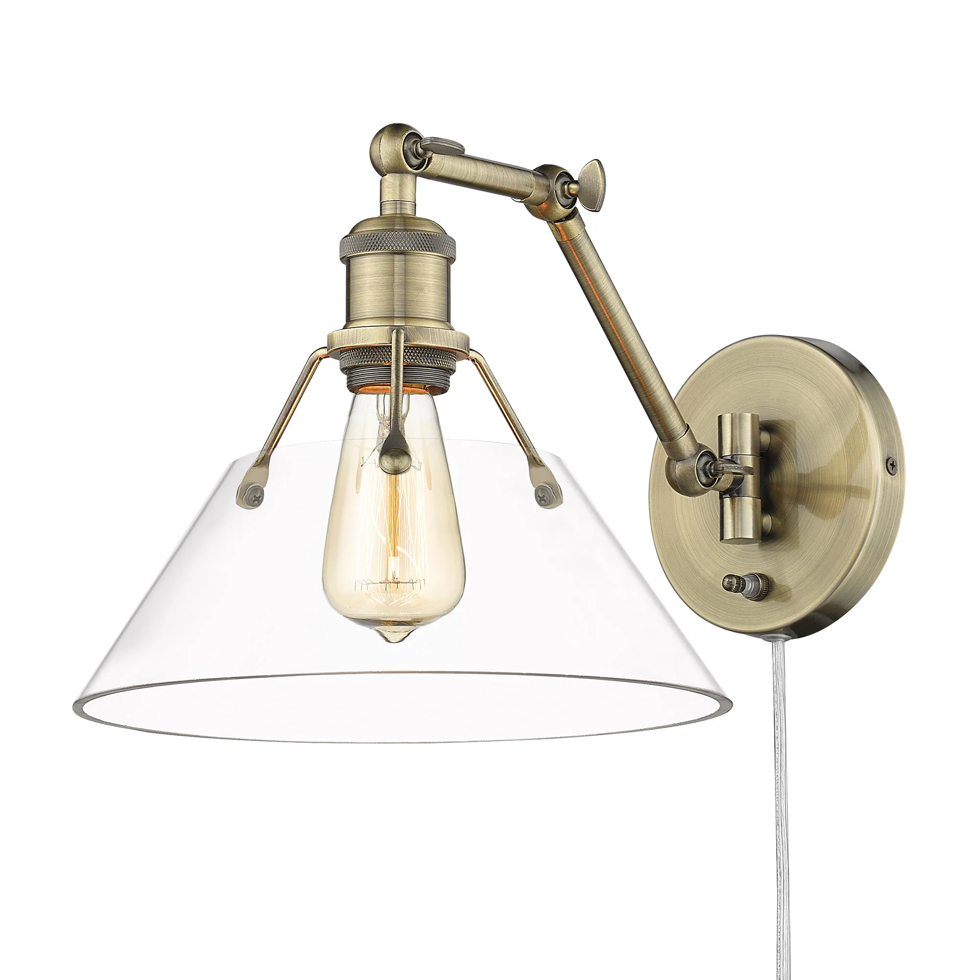 Orwell 1-light Swing Arm Wall Lamp in Aged Brass and Clear Glass