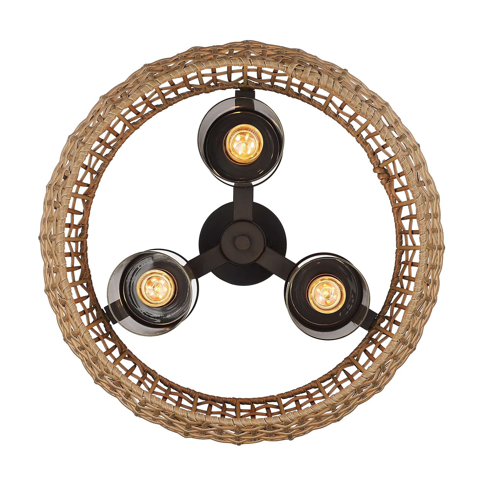 Piper 3-light Outdoor Ceiling in Natural Black - Image 3