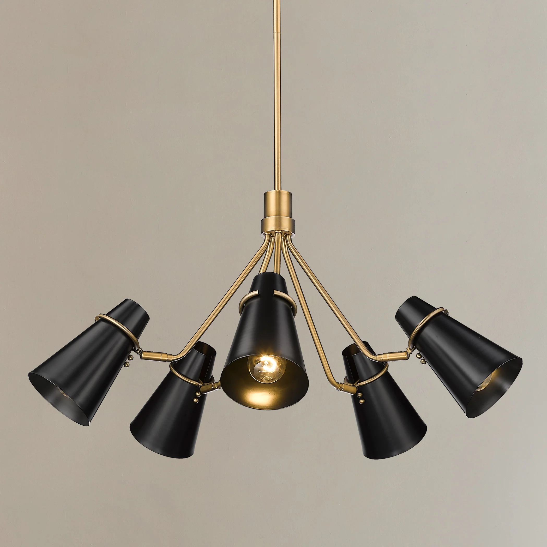 Reeva 5-light Chandelier in Modern Brass and Matte Black shade - Image 8