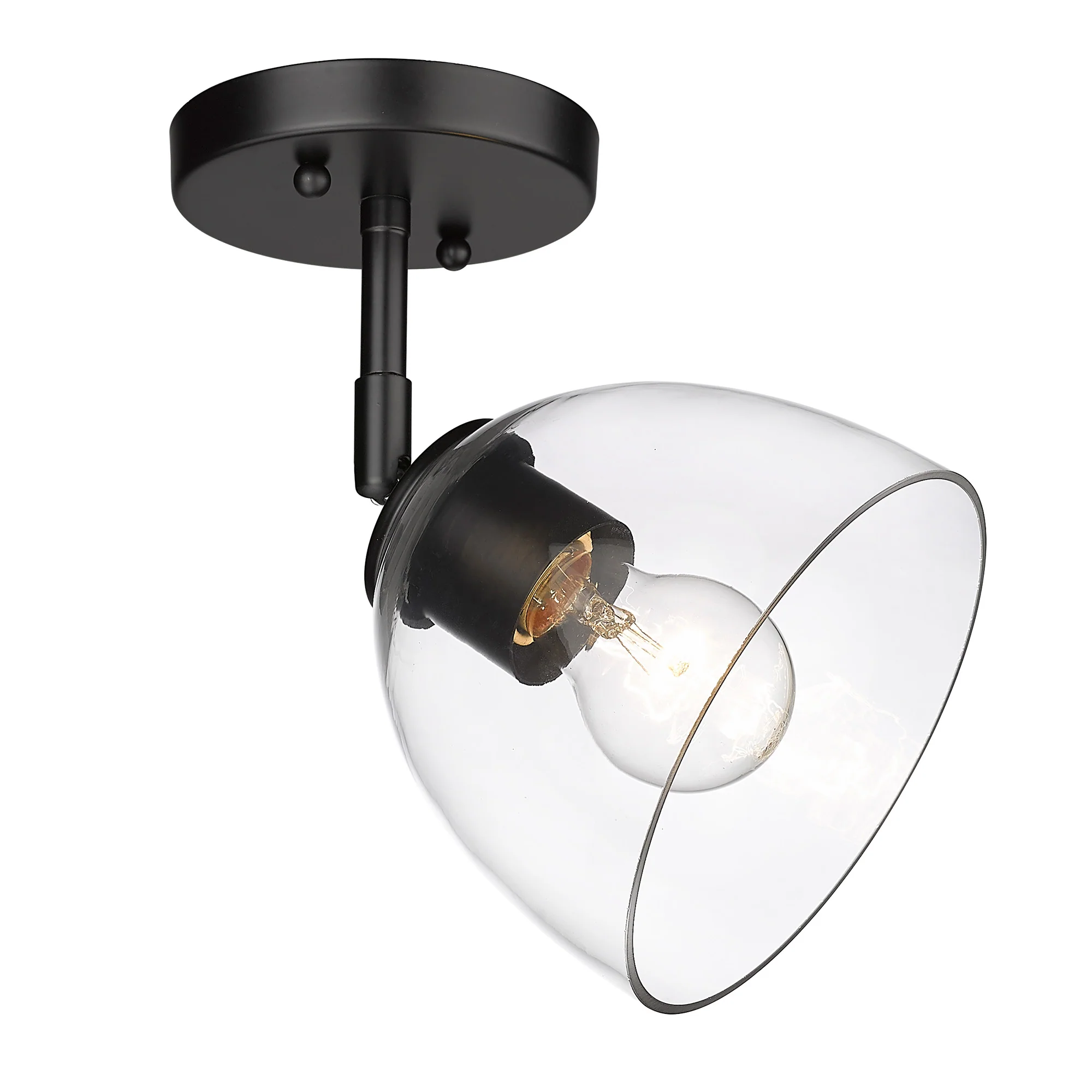 Roxie 1-light Semi-Flush Mount in Matte Black