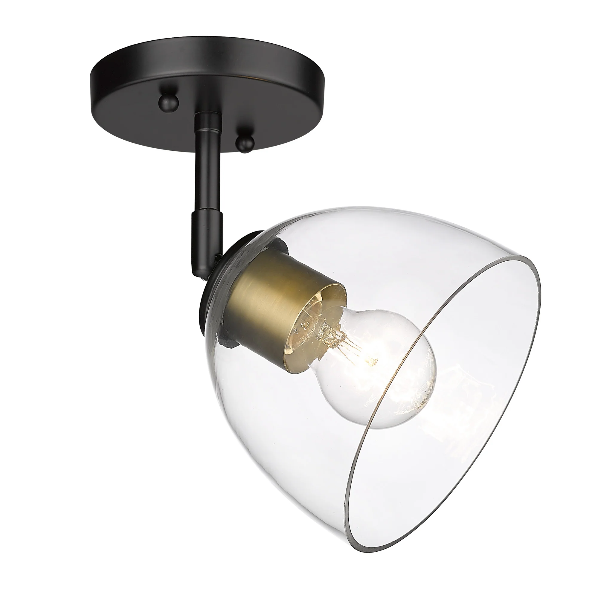Roxie 1-light Semi-Flush Mount in Matte Black and Brushed Champagne Brass